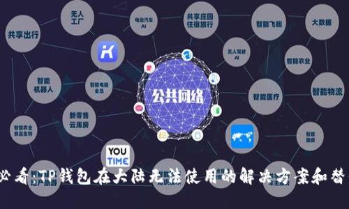 2025必看：TP钱包在大陆无法使用的解决方案和替代选项