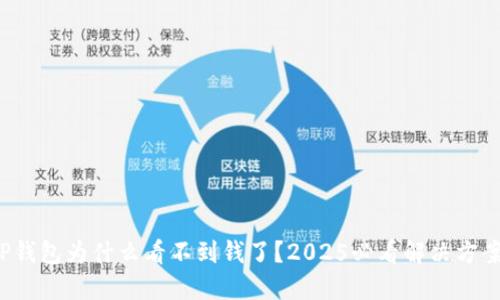 TP钱包为什么看不到钱了？2025必看解决方案！