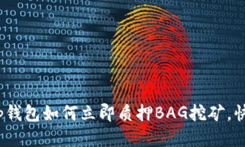 2025必看：tp钱包如何立即质押BAG挖矿，快速获取收益！